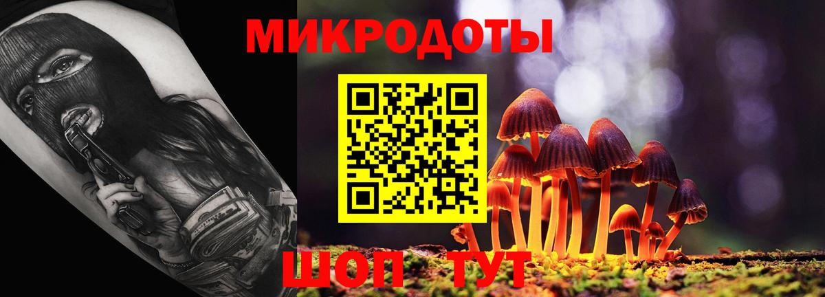 Псилоцибиновые грибы Magic Shrooms  Псилоцибиновые грибы мухоморы  Вход с VPN  Находка 
